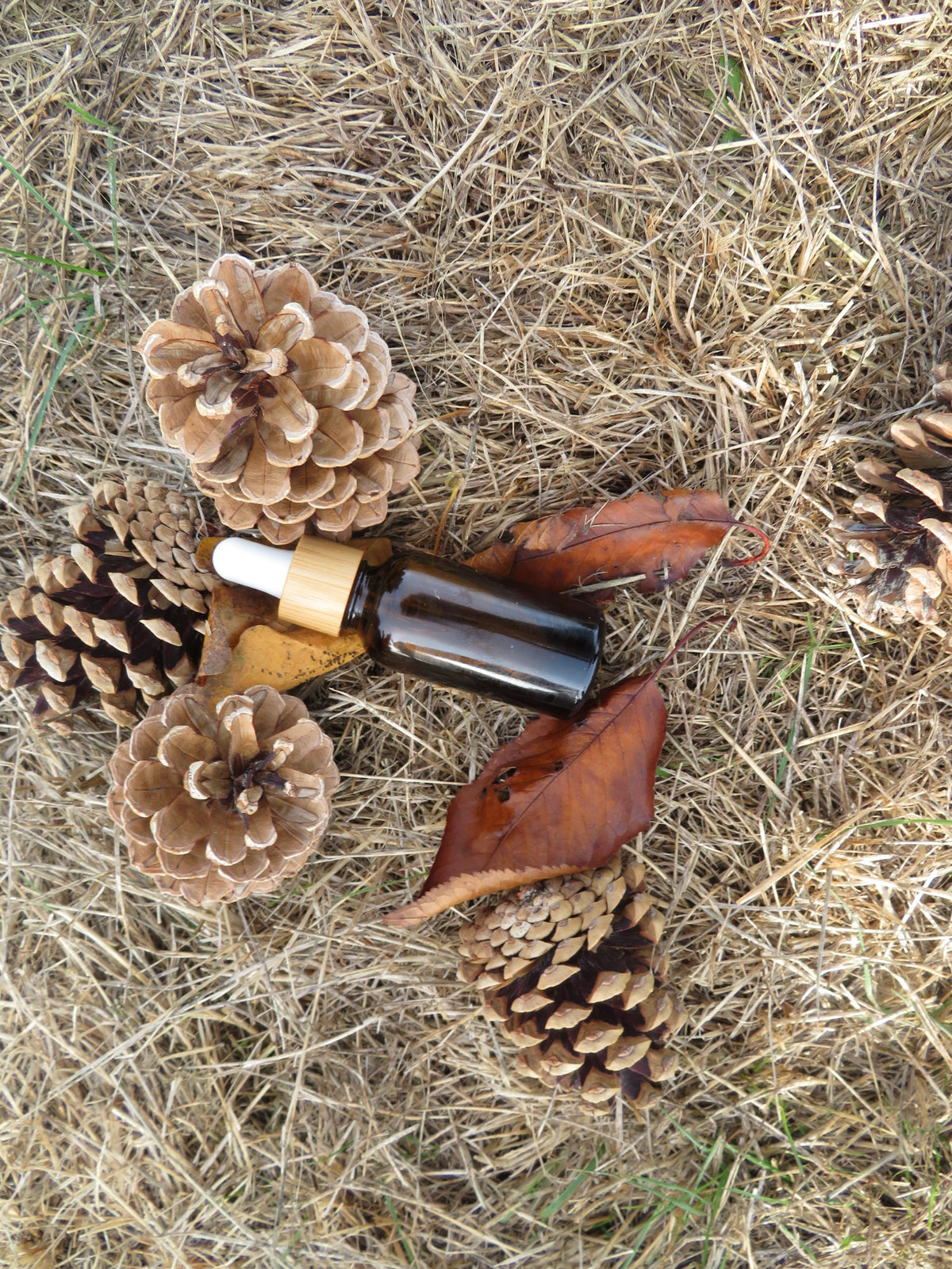 A small amber glass dropper bottle with a gold collar and white bulb lies on a bed of dry grass, pinecones, and brown leaves.